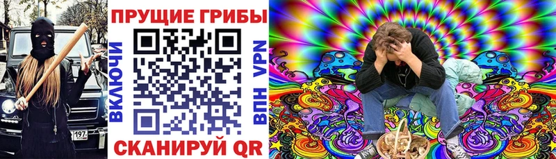 Псилоцибиновые грибы прущие грибы  где найти   Мурино 